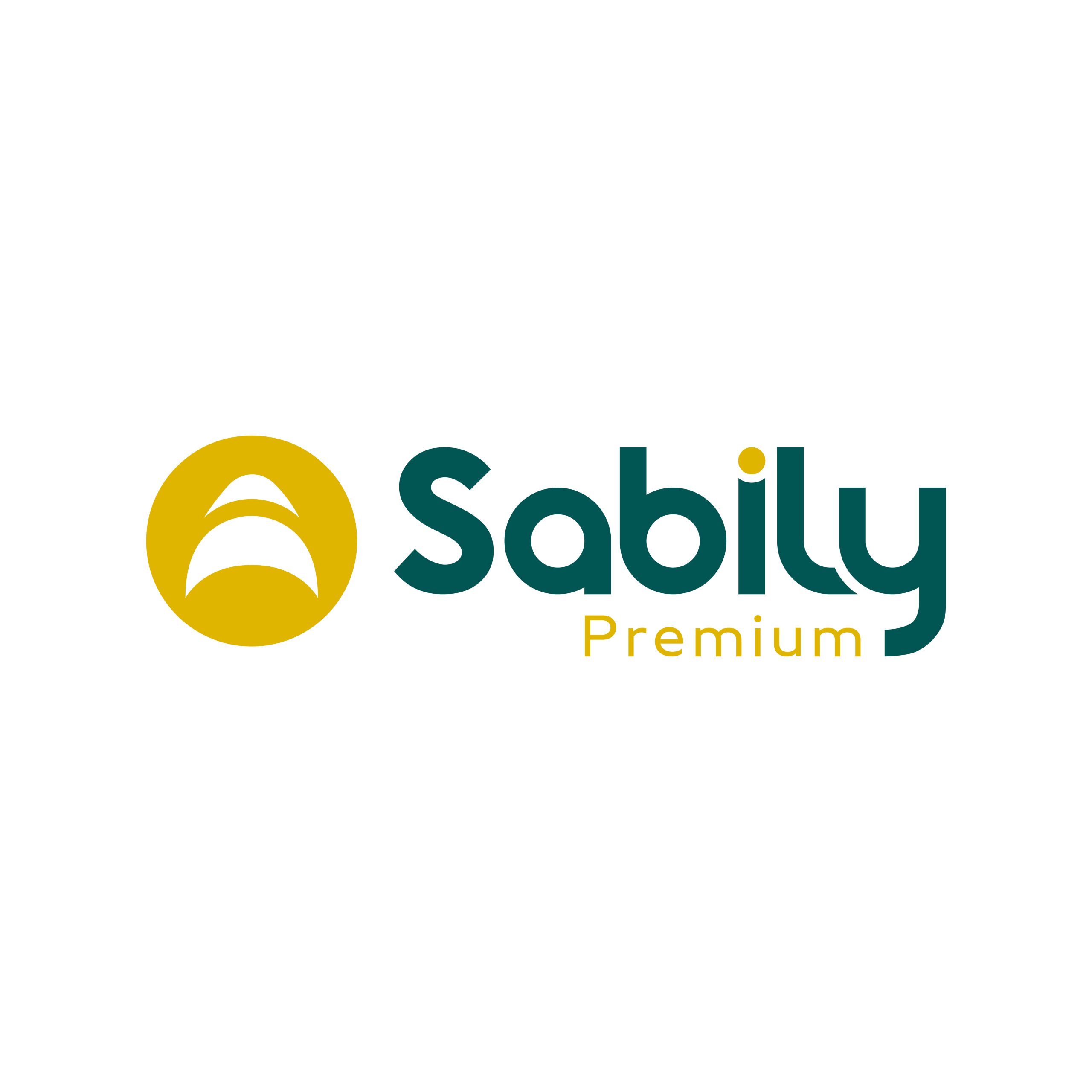 PNG-Logo Sabily-03-RVB